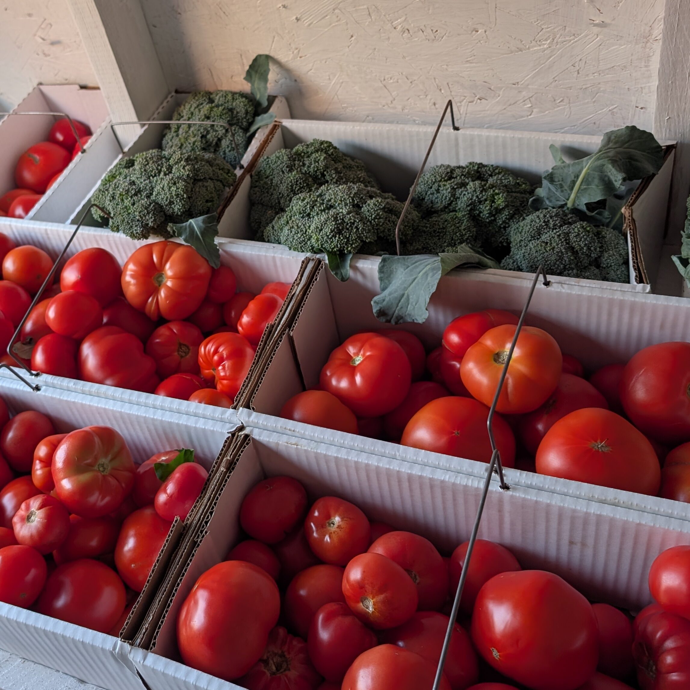 Canning tomatoes, broccoli
