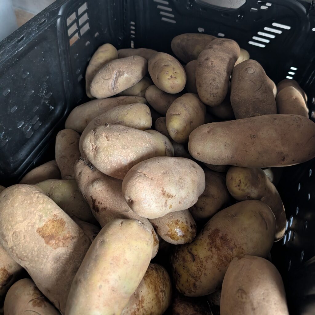 Potatoes